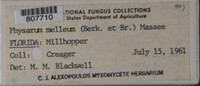 Image Associated With the Occurence